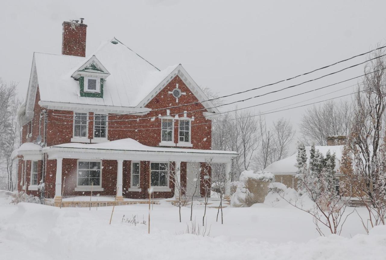 Napier House Apartment Campbellton Exterior foto